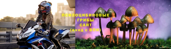 молекула духа Куйбышев