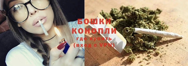молекула духа Куйбышев