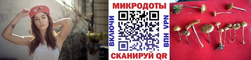 Галлюциногенные грибы ЛСД  Новосокольники 