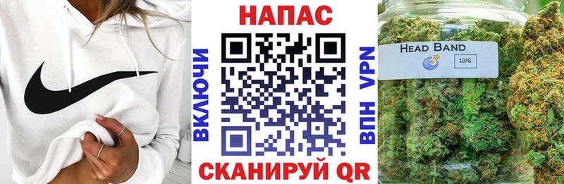 Бошки Шишки марихуана Новосокольники